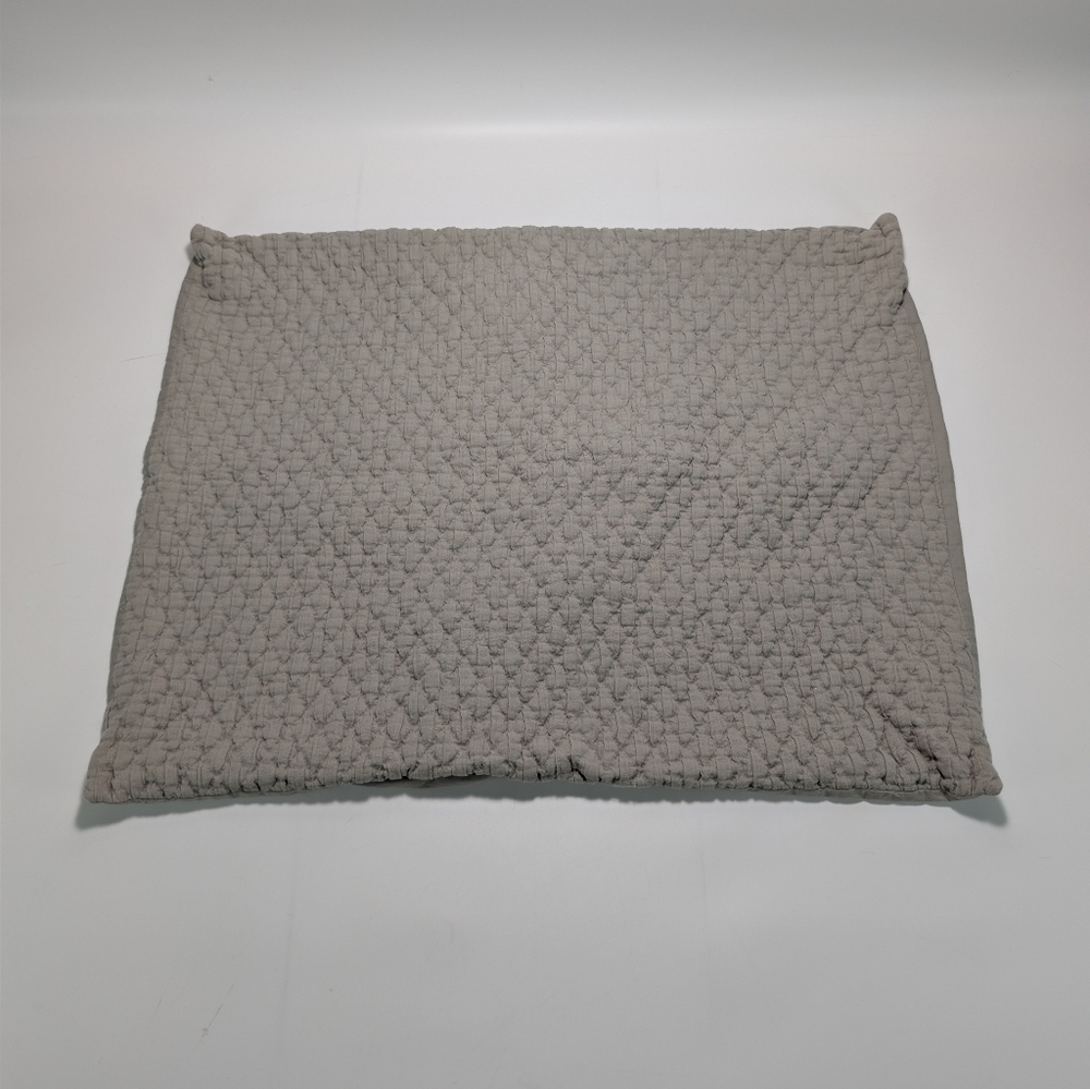 West Elm Organic Cotton Pillow Shams - Set Of 2 - 20x26